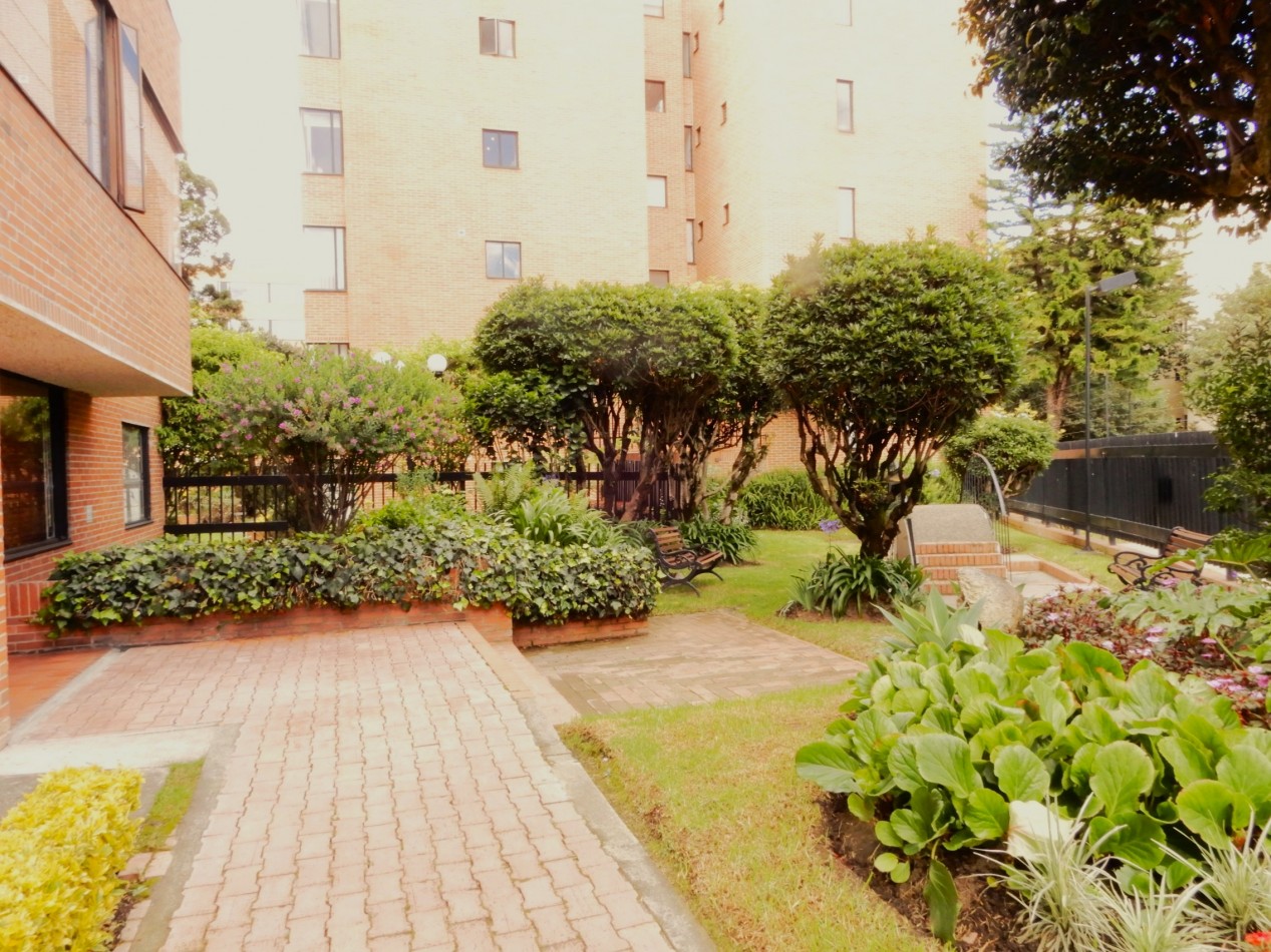 APARTAMENTO EN ARRIENDO MULTICENTRO AMOBLADO  1 ALCOBA Y ESTUDIO