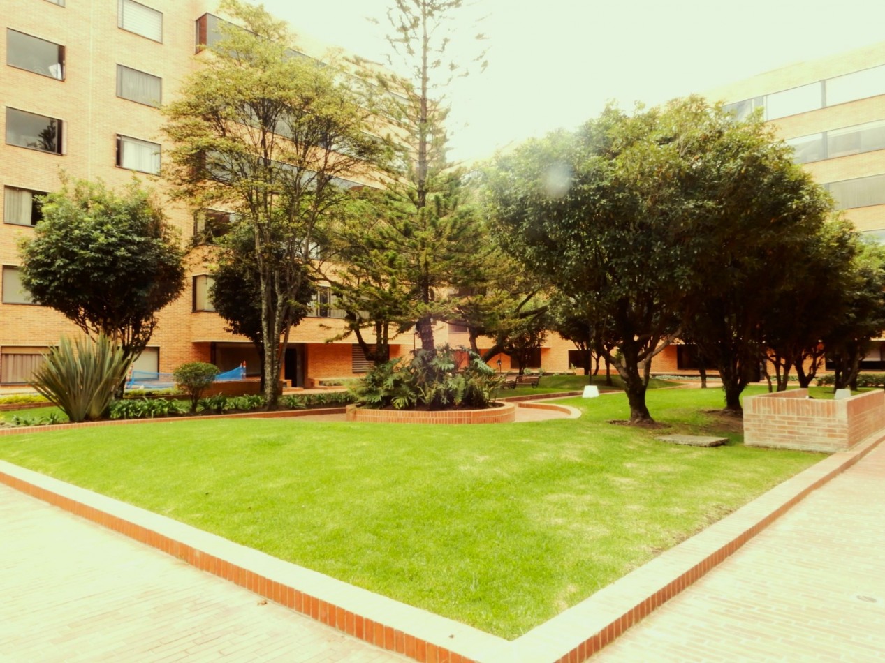 Apartamento en Arriendo Multicentro 1 Alcoba Estudio y Parqueadero