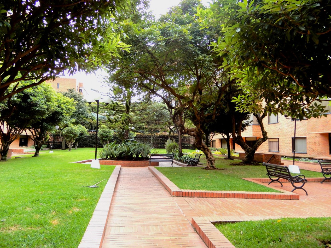 Apartamento en Arriendo Multicentro 1 Alcoba Estudio y Parqueadero