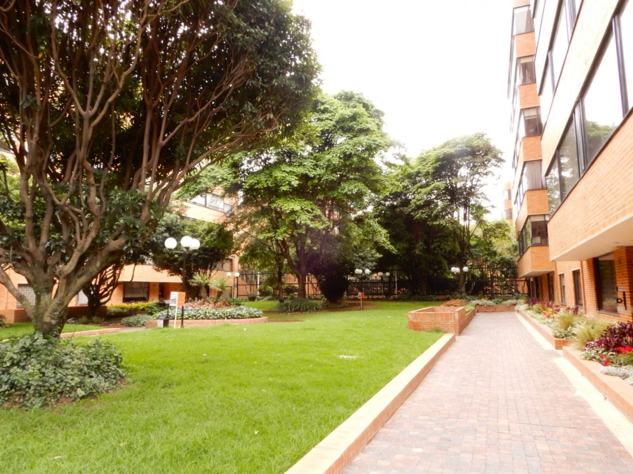 Apartamento en Arriendo Multicentro 1 Alcoba Estudio y Parqueadero